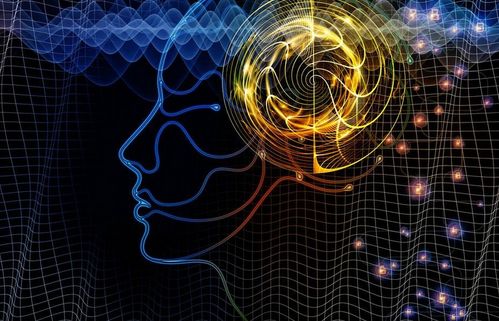 北京理工大學“3+2”留學項目 計算機軟件開發專業深度解析